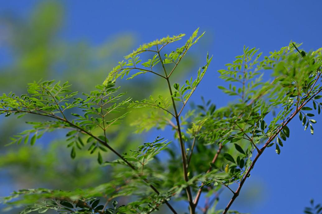 Lorain, Ohio. | Facebook Lorain, Ohio. | Facebook