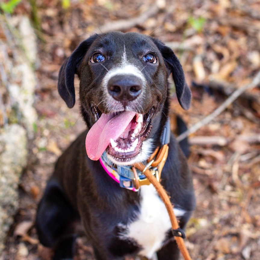 Rumah Gress 2 Lantai, Lokasi Strategis di Klampis Anom, SBY | Lamudi.co.id